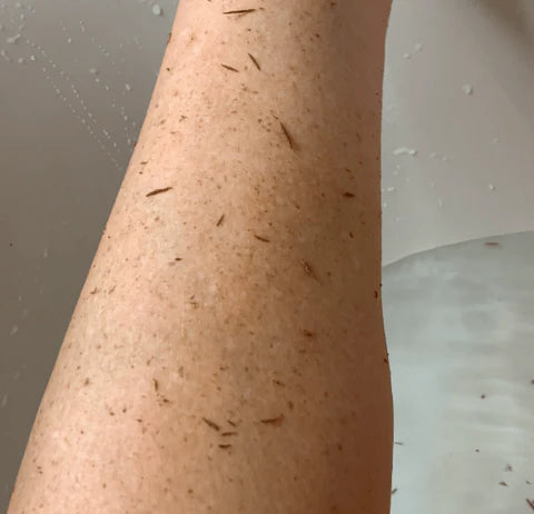 🌿 Velouré - Das Original