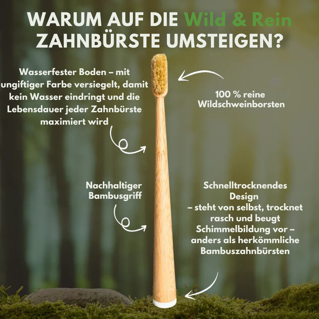 Wild & Rein™ -  Zahnbürste aus Wildschweinborsten (4er-Pack)