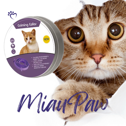 🐾 MiauPaw® – Das natürliche Beruhigungshalsband für gestresste Katzen