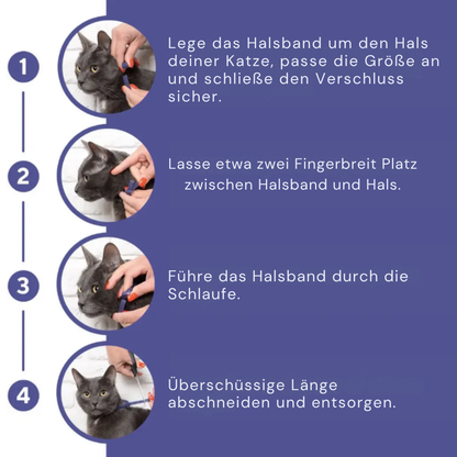 🐾 MiauPaw® – Das natürliche Beruhigungshalsband für gestresste Katzen