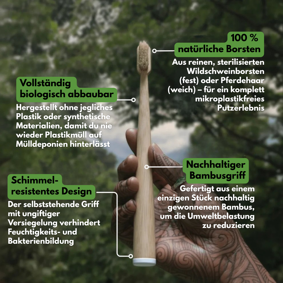 Wild & Rein™ -  Zahnbürste aus Wildschweinborsten (4er-Pack)