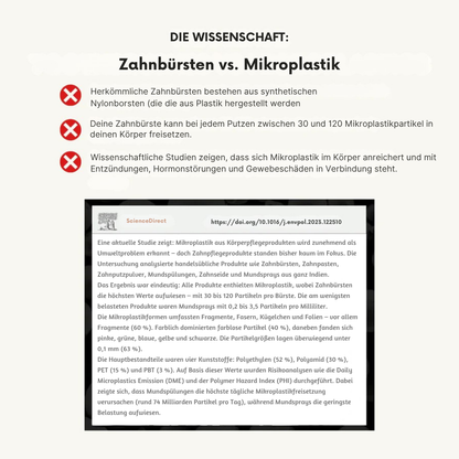 Wild & Rein™ -  Zahnbürste aus Wildschweinborsten (4er-Pack)