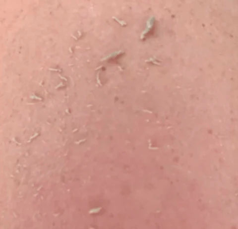 🌿 Velouré - Das Original