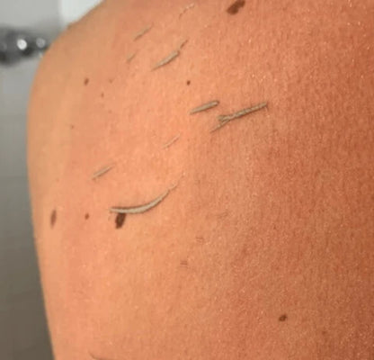 🌿 Velouré - Das Original