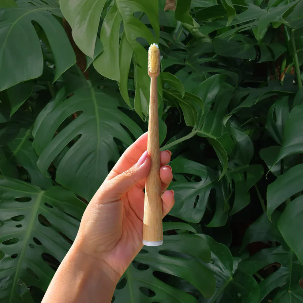 Wild & Rein™ -  Zahnbürste aus Wildschweinborsten (4er-Pack)